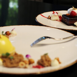 Chocolate square dessert with berries and lemon cake dessert
