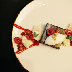 Chocolate square dessert with berries