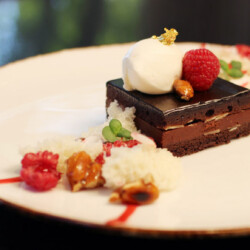 Chocolate square dessert with berries